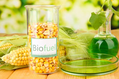 Menzion biofuel availability